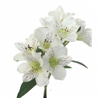 Alstroemeria 8 flores blanca 65cm