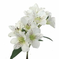 Alstroemeria artificial 8 flores blanca 65cm