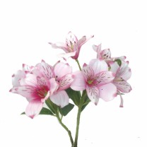 Alstroemeria artificial 8 flores rosa 65cm