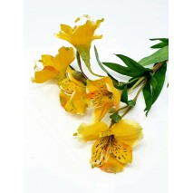 Alstroemeria artificial x 5 flores 60 cm amarilla