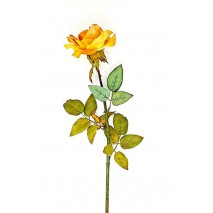 Rosa abierta 80 cm ri 1116 naranja/ocre