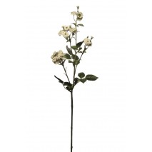 Rosa pitiminí x 3 x 26 f blanco 73 cm