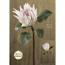 Protea cynaroides artificial tacto natural d.11cm x 58cm