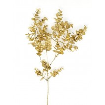 Vara eucaliptus guni dorada brillante x 70cm