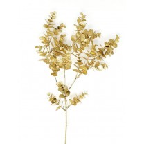 Vara eucaliptus guni dorada brillante x 70cm