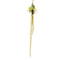 Vara amaranthus nevado 110cm