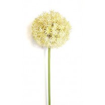 Allium artificial plástico 13cm x 80cm blanco