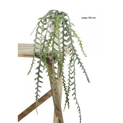 Colgante plástico epiphyllum anguliger 106cm