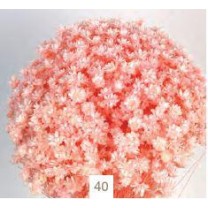 Glixia seca 50gr 50cm rosa claro
