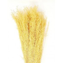 Munni grass seco 75g 60cm amarillo -