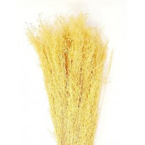 Munni grass seco 75g 60cm amarillo -