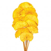 Mush sponge 10 pcs 40cm d 6-8cm amarillo