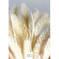 Setaria seca 75cm blanca