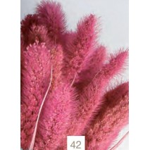 Setaria seca 75cm rosa malva