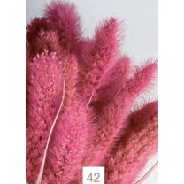 Setaria seca 75cm rosa malva