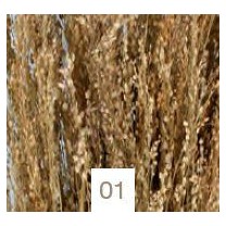 Star grass seco 100gr 60cm aprox natural