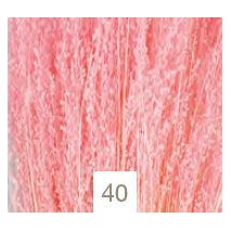 Star grass seco 100g 60cm aprox rosa