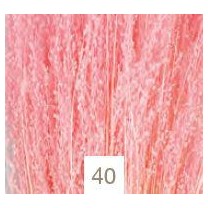 Star grass seco 100gr 60cm aprox rosa