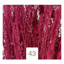 Star grass seco 100g 60cm aprox cardenal