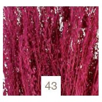 Star grass seco 100gr 60cm aprox cardenal