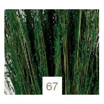 Star grass seco 100g 60cm aprox verde botella