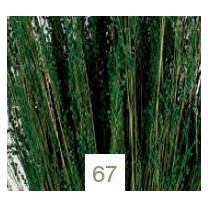 Star grass seco 100gr 60cm aprox verde botella