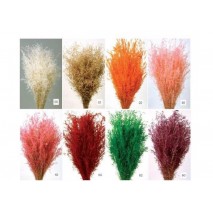 Star grass seco 100g 60cm aprox azul cielo