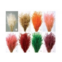 Star grass seco 100gr 60cm aprox azul cielo