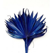 Palm sum seca 6pcs 40cm d 10-20cm azul 