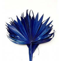 Palma seca abierta 6pcs 40cm d.10-20cm azul