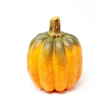 Calabaza redonda d 15cm