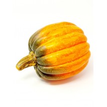 Calabaza redonda d 15cm