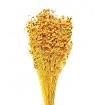 Lino grass seco 100gr 50cm amarillo