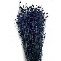 Lino grass seco 100 g azul