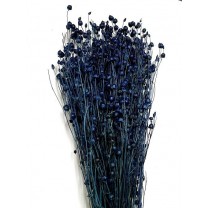 Lino grass seco 100gr 50cm azul