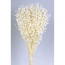 Lino grass seco 100gr 50cm blanco