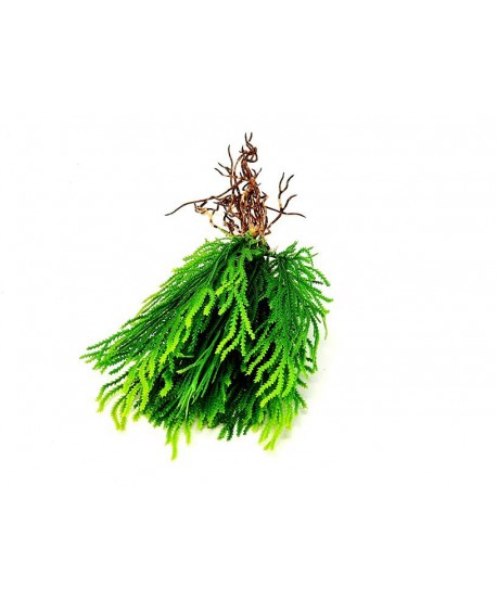 Planta artificial mini d.10cm hierba c/raíces verde plástico Alt.22cm