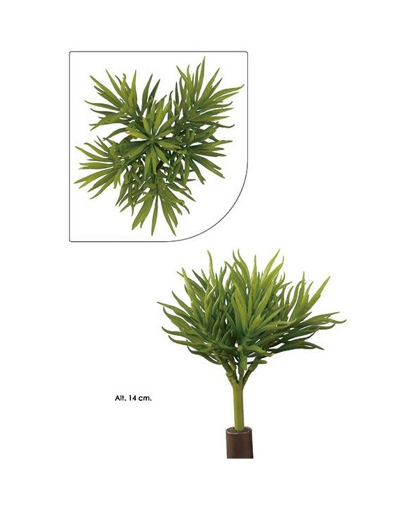 Planta artificial mini plástico succulent pine Alt 14cm 