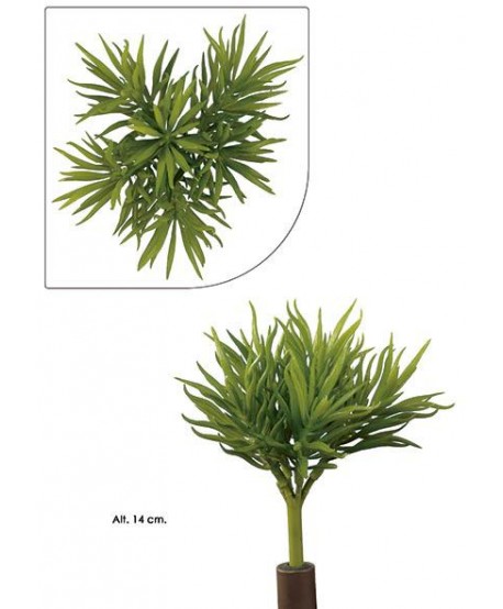 Planta artificial mini plástico suculenta pine Alt.14cm 