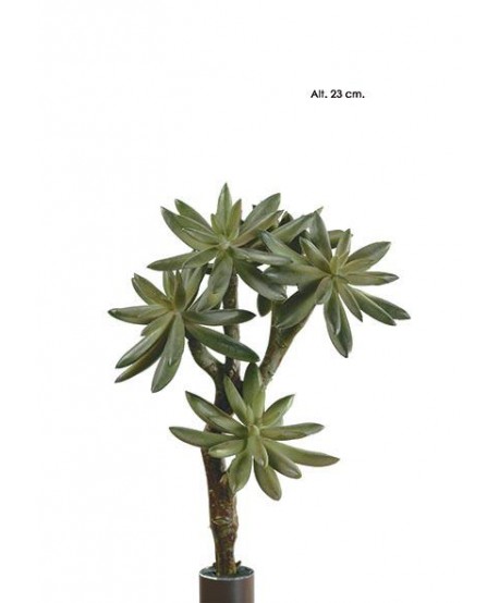 Planta artificial mini plástico sedum x 5cm Alt.23cm 