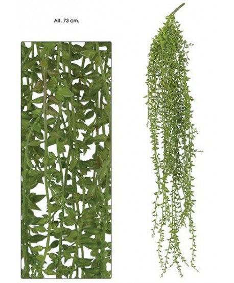 Colgante plástico rosario senecio rowleyanus 73cm verde