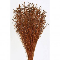 Lino grass seco 100gr 50cm marrón