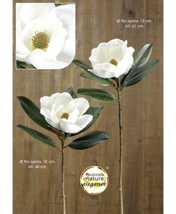 Magnolia supernatural d 12cm Alt 61cm crema