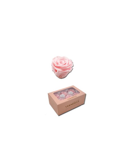 Caja  6 rosas preservadas cabeza d. 3,6-4,5cm rosa