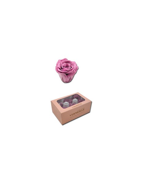 Caja  6 rosas preservadas cabeza d. 3,6-4,5cm rosa malva intenso
