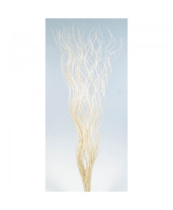 Curly willow 150cm natural