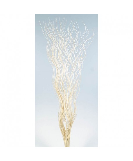Curly willow 150cm natural