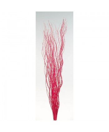 Curly willow 150cm rojo