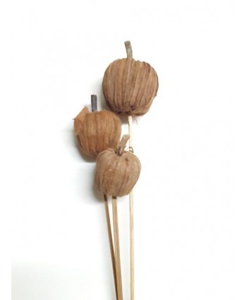 Manzana 3 piezas 50cm marrón claro