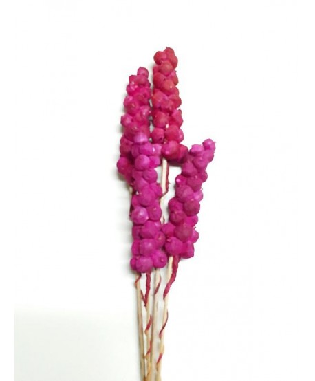 Shola berry 4 piezas 60cm fucsia